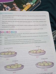 Interactive Science Textbook Grade 5