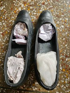 Woodland Black Formal Bellies