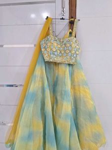 Designer Lehenga Choli Set