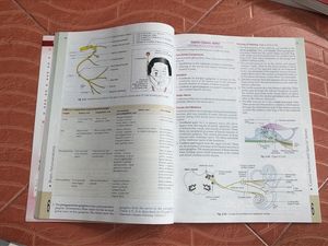 BD Chaurasia’s Human Anatomy Book Bundle