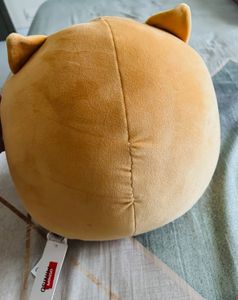 Miniso Plush Teddy-ultra soft