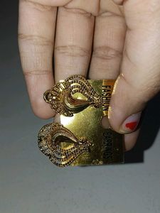 Elegant Gold Tone Earrings
