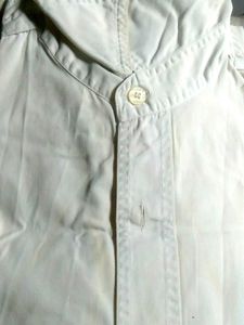 Classic Button-Up Shirt