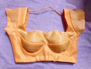 Sabyasachi blouse (padded)