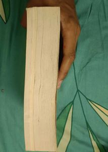 The Book Thief by Markus Zusak