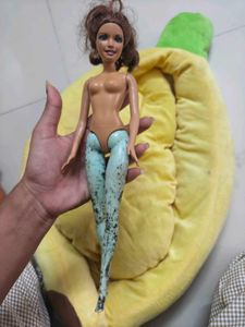 Barbie Doll Body