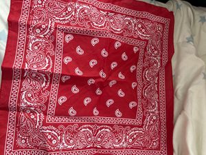 Red &amp; Black Paisley Bandanas (Set of 2)