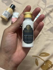Assorted Travel Size Lotions &amp; Serums