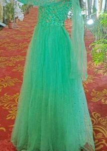 Mint Green Embellished Gown
