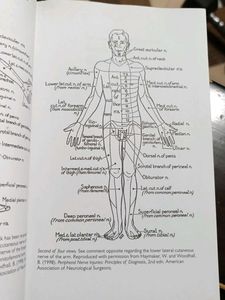 Handbook of Neurology