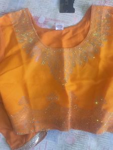 Elegant Orange Saree with Embellishments