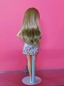 Barbie Fashionistas-159 in Cute Outfit