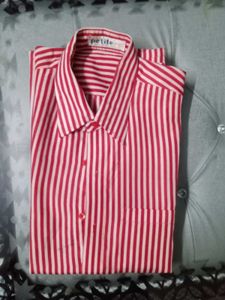 Striped Petite Shirt