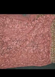 Stunning Embroidered Saree with Pearl Border