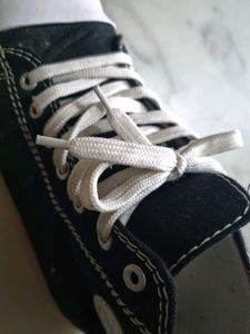 Converse Shoes