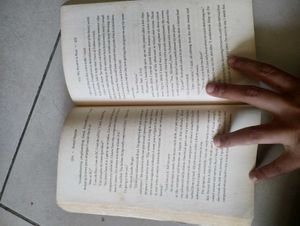 yes, my accent is real -book