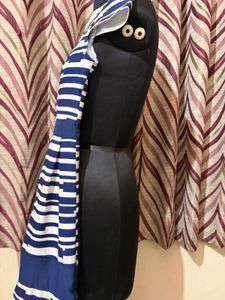 Chic Striped Blue &amp; White Dress