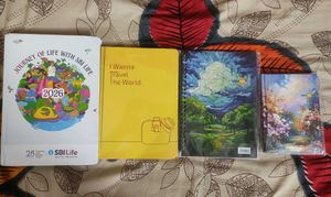 Assorted Notebook Collection
