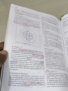 Microbiology Textbook - Fifth Edition