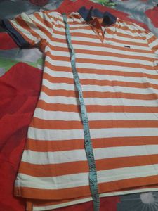 Men polo tshirt