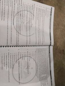 History Book class 10
