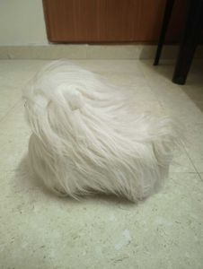 Cute Fluffy White Dog Toy