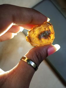 Baltic Amber