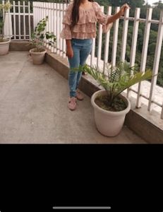 Tiered Floral Print Square Neck Top