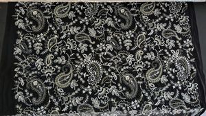 ✨ Chiffon Fabric with Paisley Embroidery Work (Whi