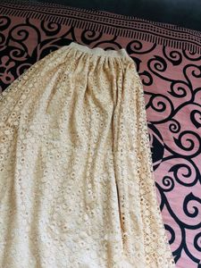 Cream Lace Flared Skirt with White Border – Elegan