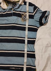 Polo Neck Tshirt For Men