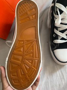 Brand new Mozafia Converse