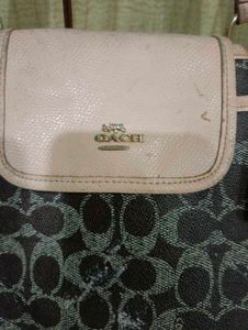Coach Signature Print Tote Bag