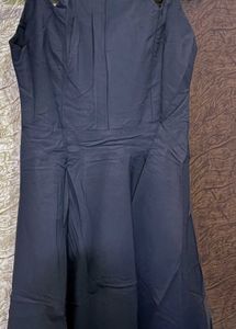 Elegant Black Fit &amp; Flare Dress