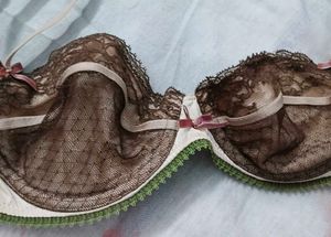 Lace Trimmed Underwire Bra