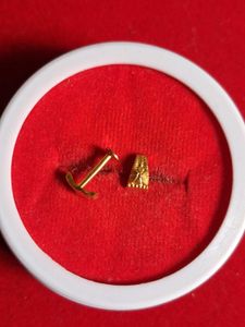 Elegant Gold Earrings