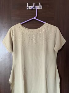 Light Green Cream Beaded Designer Top For Ladies