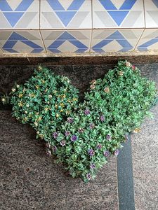 3 Set Showcase And Wall Decor Flower Plants