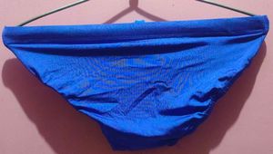 Blue Swim Briefs - New with Tag