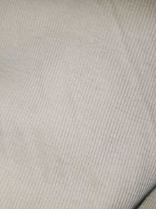 Ribbed Cropped Top Highly New And NEVER WORE