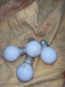 Light Bulbs