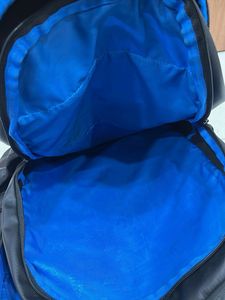 Wildcraft Backpack