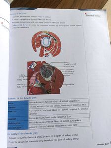 PW MED ED anatomy notes of Dr. Pradeep Pawar