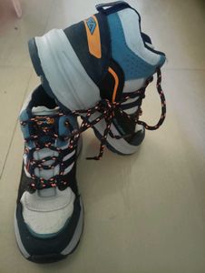 Stylish Blue &amp; White Sneakers
