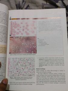 Inderbir Singh's Textbook of Human Histology