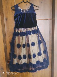 Navy Velvet &amp; Tulle Dress