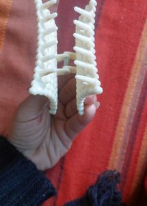 White Pearl Beautiful Clutcher