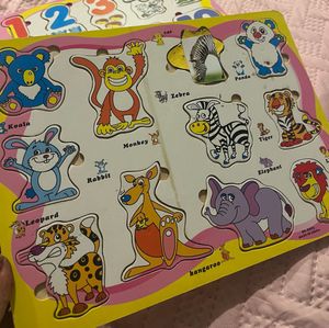 Wooden Peg Puzzles Set