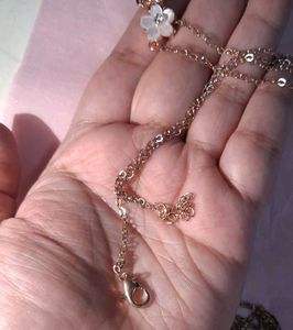 Two Delicate Necklaces