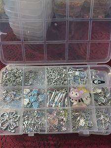 silver charms (full box)